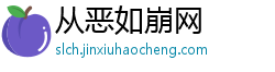 从恶如崩网